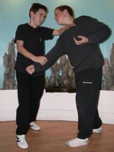 Wing Chun Kids